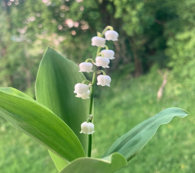  &copy; Hélène Loget