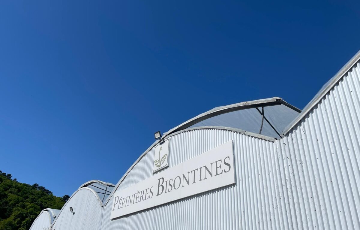  &copy; Alexane Alfaro