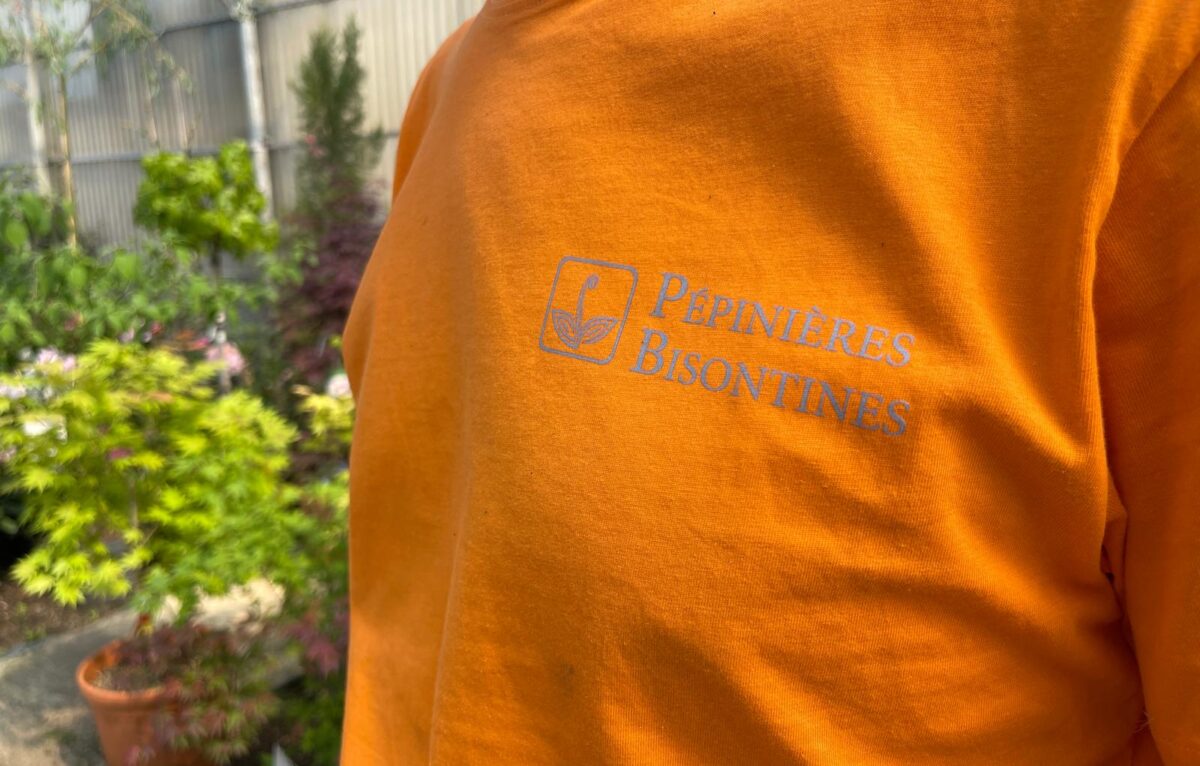  &copy; Alexane Alfaro