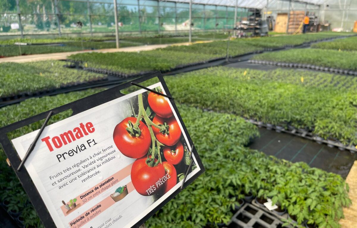  &copy; Alexane Alfaro