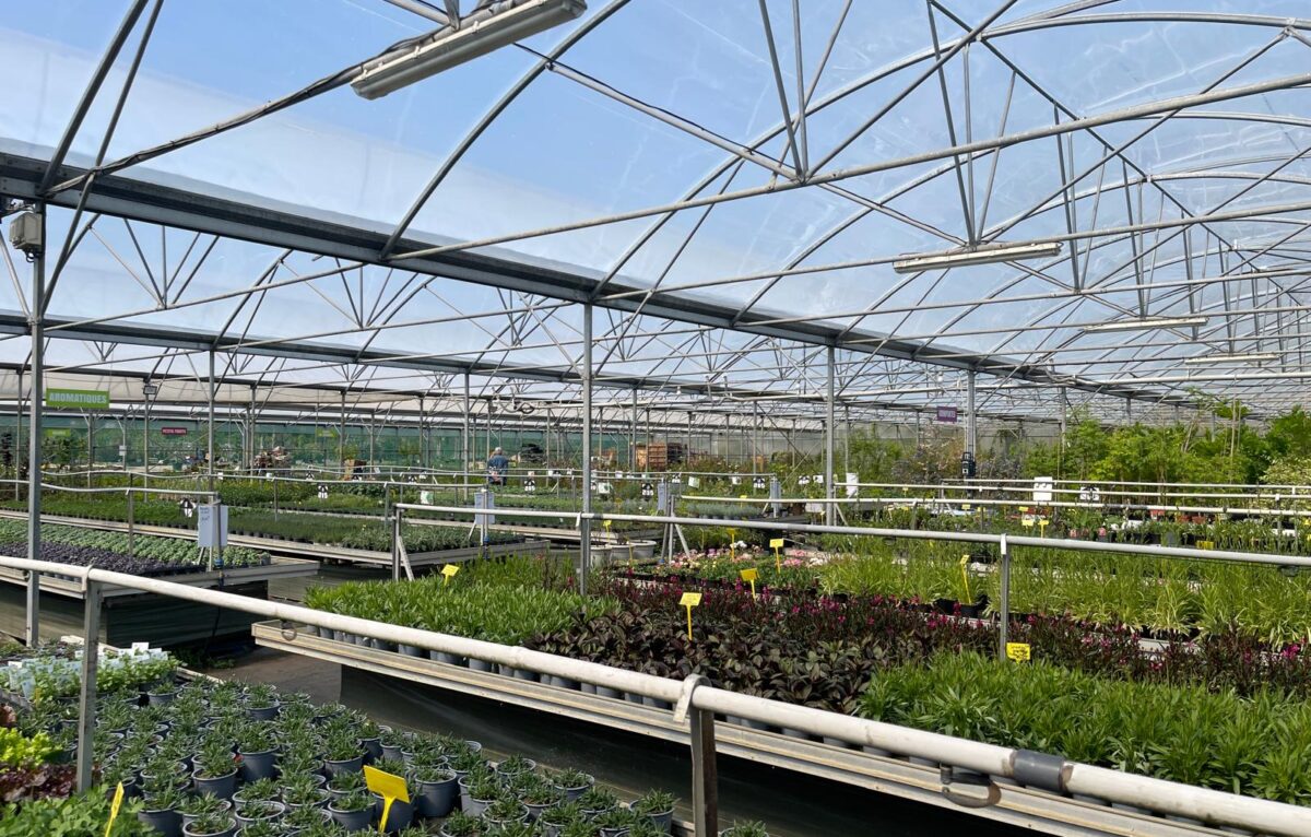  &copy; Alexane Alfaro