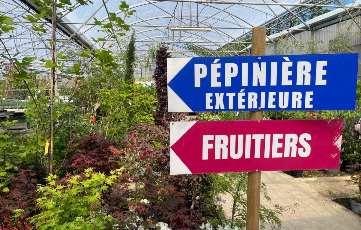  &copy; Alexane Alfaro