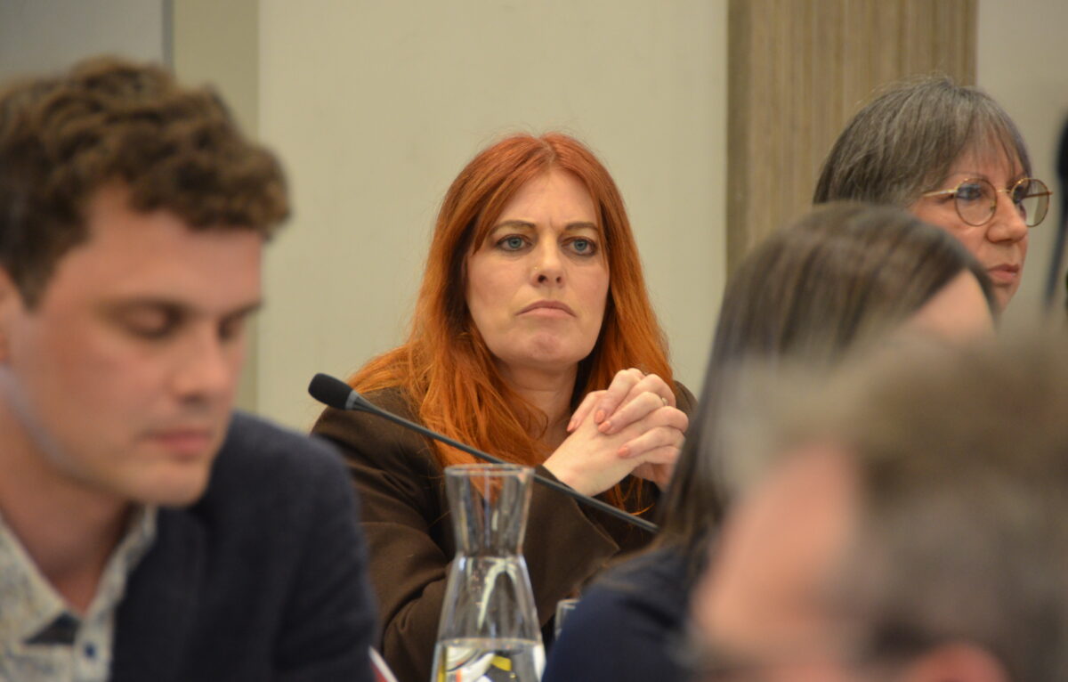  &copy; Alexane Alfaro