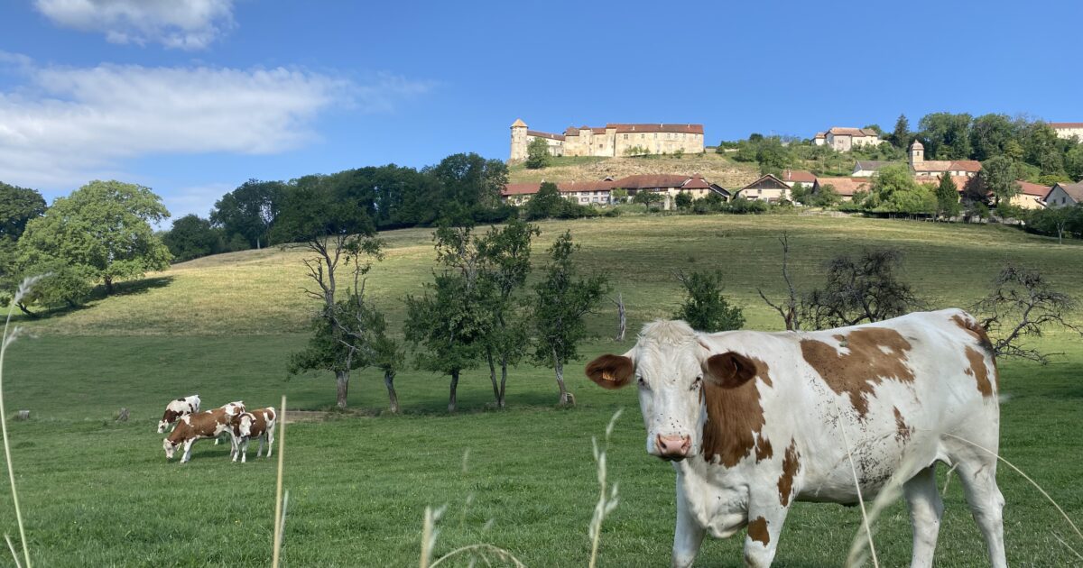 Idée rando du week-end : le sentier historique de Belvoir • macommune.info