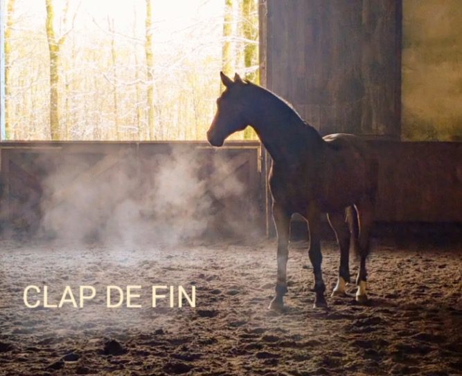 Ecuries de Saint-Paul  &copy; Ecuries de Saint-Paul FB