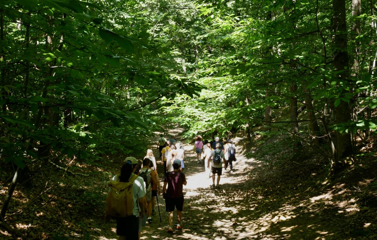  &copy; Les Nuits des Forêts 2026