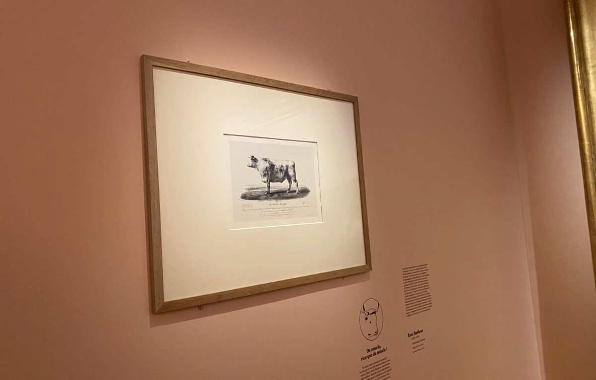  &copy; Hélène Loget