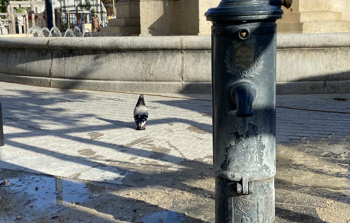  &copy; Élodie R.