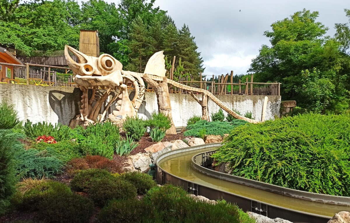 Dino-Zoo Été 2026 &copy; Dino-Zoo