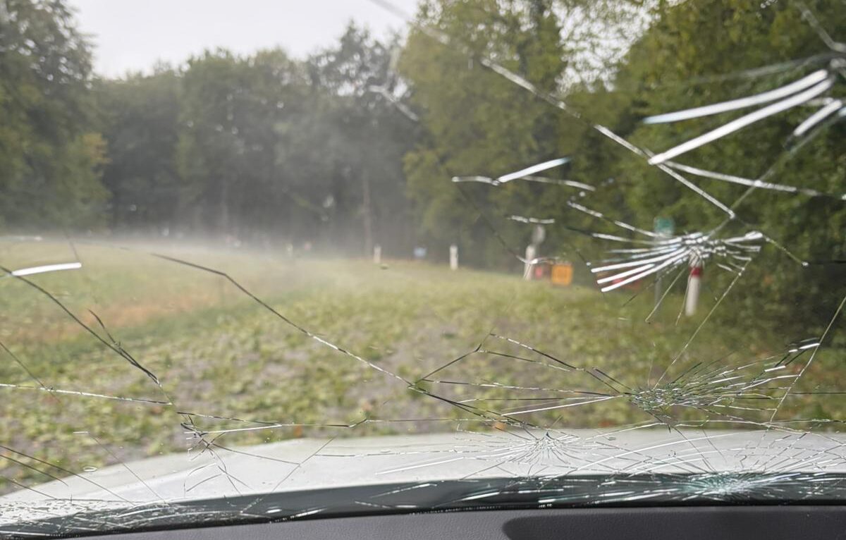  &copy; Alerte témoin