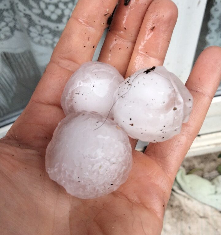  &copy; Alerte témoin