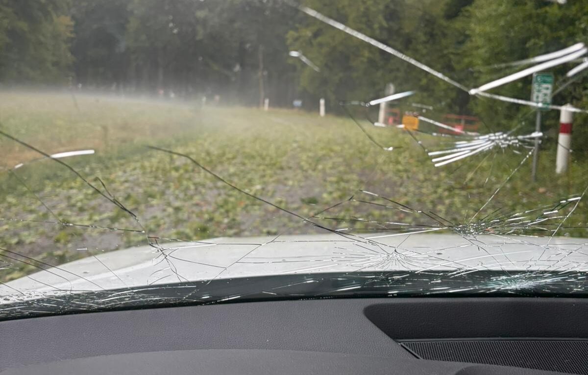  &copy; Alerte témoin