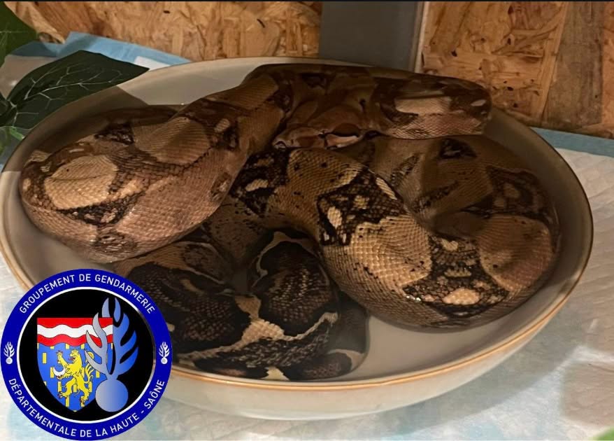  &copy; Gendarmerie de la Haute-Saône