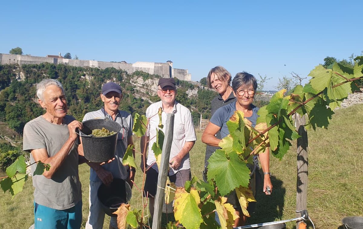  &copy; Association terrasse des collines de Besancon